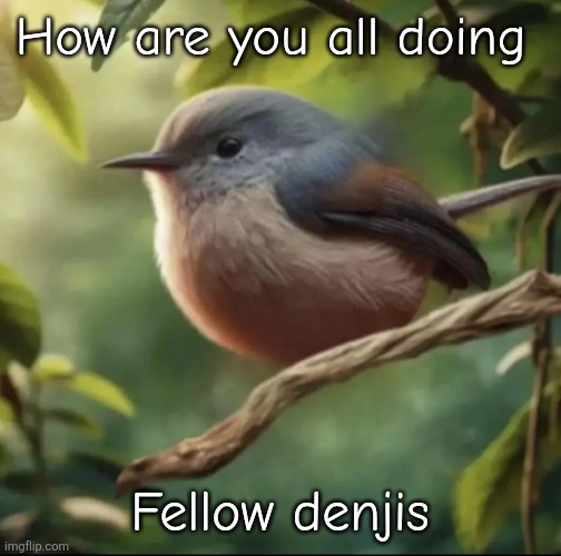 Gm | How are you all doing; Fellow denjis | image tagged in no balls | made w/ Imgflip meme maker