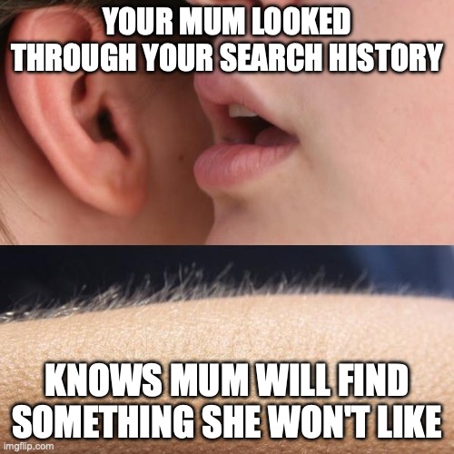 Mum looked through your search history | YOUR MUM LOOKED THROUGH YOUR SEARCH HISTORY; KNOWS MUM WILL FIND SOMETHING SHE WON'T LIKE | image tagged in whisper and goosebumps | made w/ Imgflip meme maker