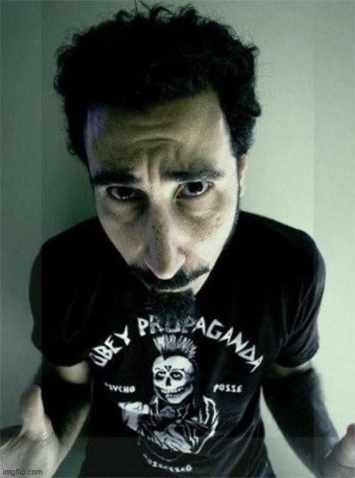 No Bitches? meme serj tankian | image tagged in no bitches meme serj tankian | made w/ Imgflip meme maker