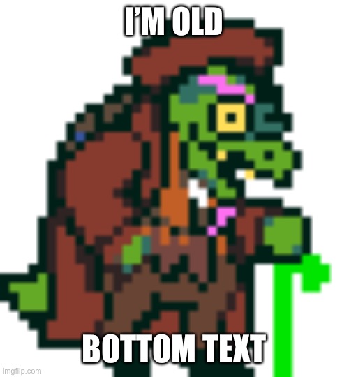 Gerson Boom Deltarune | I’M OLD; BOTTOM TEXT | image tagged in gerson boom deltarune | made w/ Imgflip meme maker