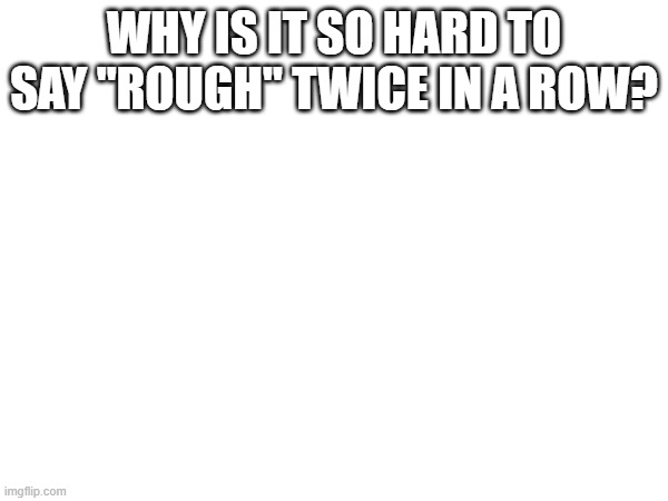 seriously why? | WHY IS IT SO HARD TO SAY "ROUGH" TWICE IN A ROW? | image tagged in dog | made w/ Imgflip meme maker