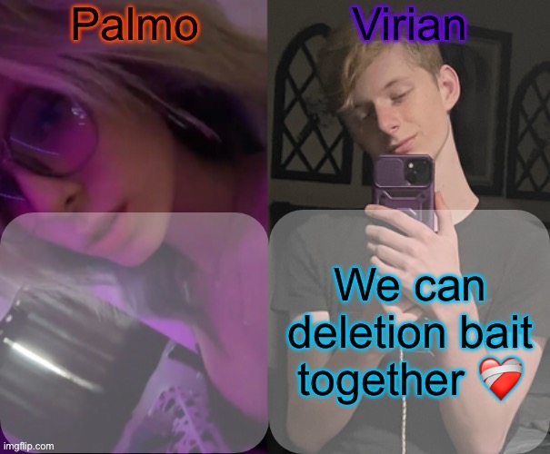Palmo and Virian shared temp | We can deletion bait together ❤️‍🩹 | image tagged in palmo and virian shared temp | made w/ Imgflip meme maker