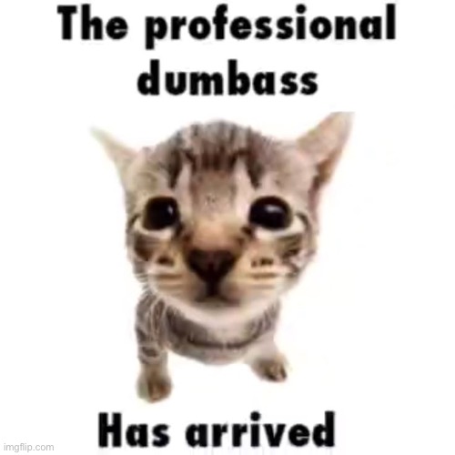 The professional dumbass has arrived | image tagged in the professional dumbass has arrived | made w/ Imgflip meme maker
