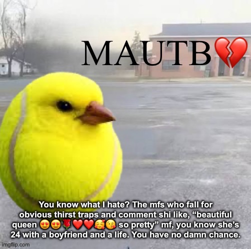 Mods Asleep, Upvote Tennis Bird | You know what I hate? The mfs who fall for obvious thirst traps and comment shi like, “beautiful queen 😍😍🌹❤️❤️🥰😘 so pretty” mf, you know she’s 24 with a boyfriend and a life. You have no damn chance. | image tagged in mods asleep upvote tennis bird | made w/ Imgflip meme maker