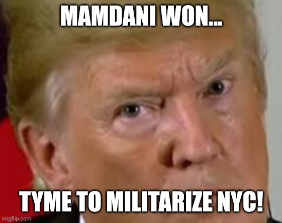 Tyrannical government time! | MAMDANI WON... TYME TO MILITARIZE NYC! | image tagged in donald trump,trump,maga,nyc,new york city,nevertrump | made w/ Imgflip meme maker
