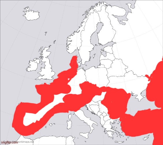 czechomoldovoanatoliostrovenetooccitanocatalonovalencioaragoandalusoportogalicobasquegalliobretanobeneluxoniedersachsenoslovakia | image tagged in blank europe map | made w/ Imgflip meme maker