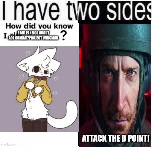 i have two sides | READ FANFICS ABOUT ACE COMBAT/PROJECT WINGMAN; ATTACK THE D POINT! | image tagged in i have two sides | made w/ Imgflip meme maker