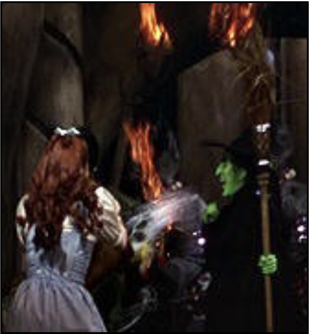 Dorothy throws water on the witch Blank Meme Template