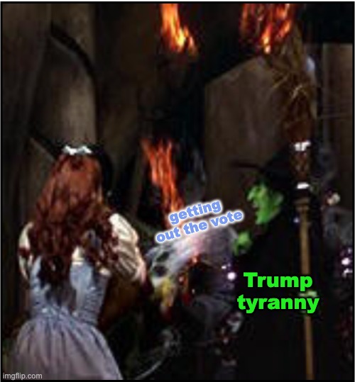 "that some little girl like you could destroy my beautiful wickedness." | getting out the vote; Trump
tyranny | image tagged in dorothy throws water on the witch,voting,elections,trump,idiocracy | made w/ Imgflip meme maker