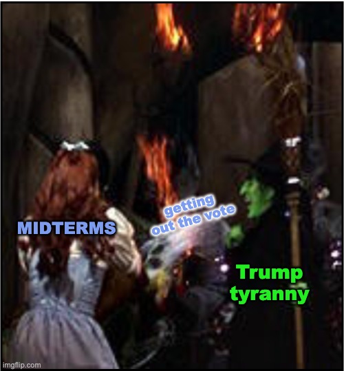 Time for the ground game | getting out the vote; MIDTERMS; Trump
tyranny | image tagged in dorothy throws water on the witch,democracy,trump,idiocracy,elections,voting | made w/ Imgflip meme maker