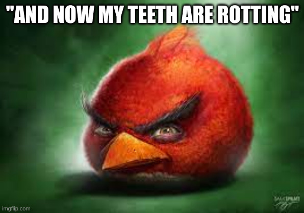 Realistic Red Angry Birds | "AND NOW MY TEETH ARE ROTTING" | image tagged in realistic red angry birds | made w/ Imgflip meme maker