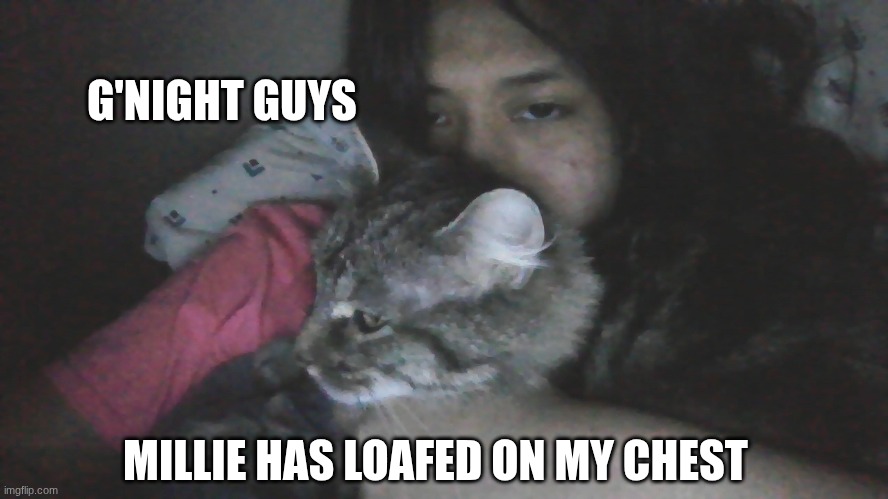 G'NIGHT GUYS; MILLIE HAS LOAFED ON MY CHEST | made w/ Imgflip meme maker