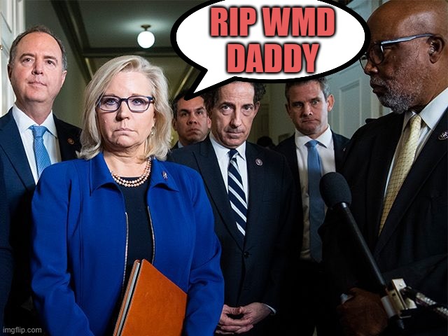 J6 Committee | RIP WMD
DADDY | image tagged in j6 committee | made w/ Imgflip meme maker