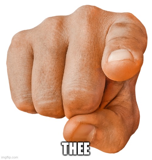 finger pointing at you | THEE | image tagged in finger pointing at you | made w/ Imgflip meme maker