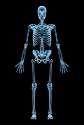 Xray body Blank Meme Template