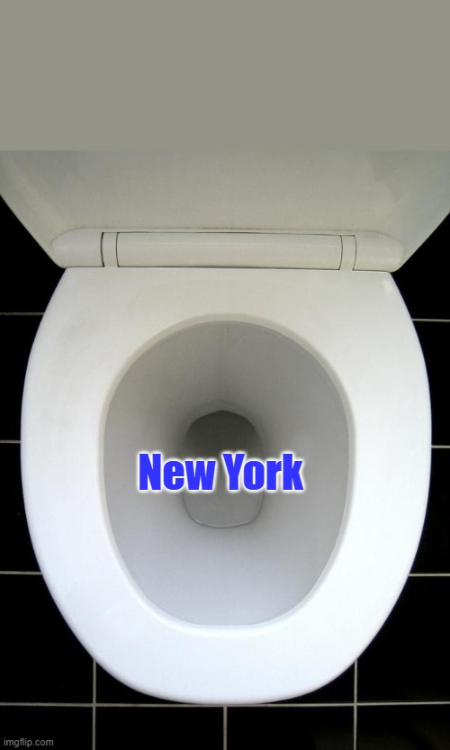 Bye bye NY | New York | image tagged in toilet | made w/ Imgflip meme maker