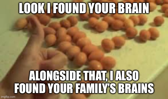 LOOK I FOUND YOUR BRAIN ALONGSIDE THAT, I ALSO FOUND YOUR FAMILY’S BRAINS | image tagged in egg | made w/ Imgflip meme maker