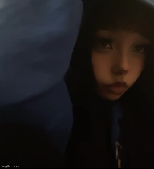 look I got a comfy hoodie from someone (don't mind the low quality) | image tagged in ava meow | made w/ Imgflip meme maker