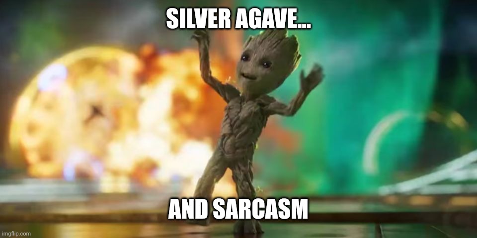 Tequila | SILVER AGAVE... AND SARCASM | image tagged in baby groot | made w/ Imgflip meme maker