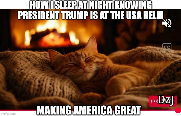 Sweet MAGA Dreams  Zzzz | HOW I SLEEP AT NIGHT KNOWING PRESIDENT TRUMP IS AT THE USA HELM; DzJ; MAKING AMERICA GREAT | image tagged in awesome,president trump,make america great again,sleepy cat | made w/ Imgflip meme maker