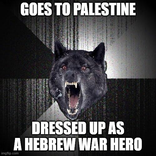 Insanity Wolf | GOES TO PALESTINE; DRESSED UP AS A HEBREW WAR HERO | image tagged in memes,insanity wolf | made w/ Imgflip meme maker