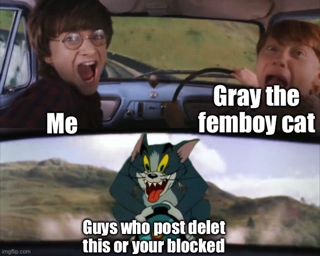 Tom chasing Harry and Ron Weasly | Gray the femboy cat; Me; Guys who post delet this or your blocked | image tagged in tom chasing harry and ron weasly | made w/ Imgflip meme maker