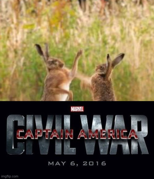 Bnuuy of the day 11/5 | image tagged in civil war/planet hulk,bnuuy,bunny,lol | made w/ Imgflip meme maker
