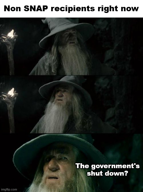 "mUh LoNgEsT sHuTdOwN eVaR!" | Non SNAP recipients right now; The government's shut down? | image tagged in memes,confused gandalf | made w/ Imgflip meme maker