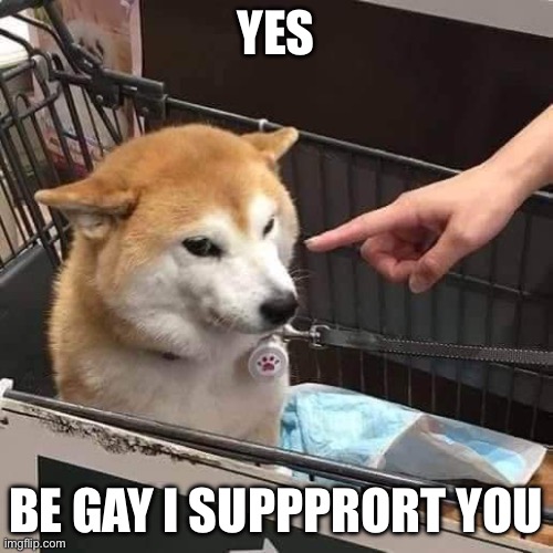 No horny | YES BE GAY I SUPPPRORT YOU | image tagged in no horny | made w/ Imgflip meme maker