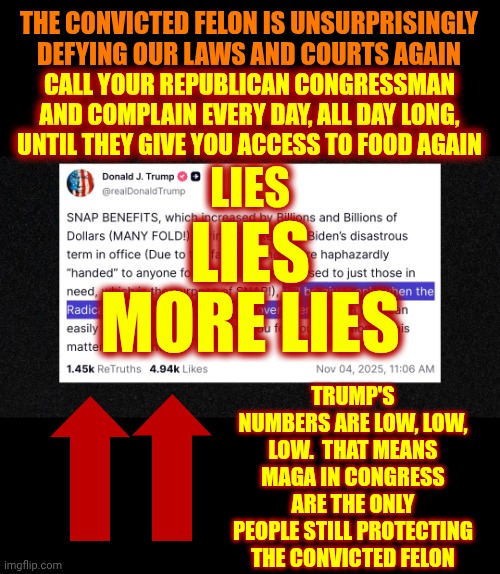 NO ONE IS ABOVE THE LAW | THE CONVICTED FELON IS UNSURPRISINGLY DEFYING OUR LAWS AND COURTS AGAIN; CALL YOUR REPUBLICAN CONGRESSMAN AND COMPLAIN EVERY DAY, ALL DAY LONG, UNTIL THEY GIVE YOU ACCESS TO FOOD AGAIN; LIES; LIES; TRUMP'S NUMBERS ARE LOW, LOW, LOW.  THAT MEANS MAGA IN CONGRESS ARE THE ONLY PEOPLE STILL PROTECTING THE CONVICTED FELON; MORE LIES | image tagged in memes,maga,nazis,lock him up,trump lies,conservative hypocrisy | made w/ Imgflip meme maker