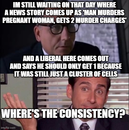 IM STILL WAITING ON THAT DAY WHERE A NEWS STORY COMES UP AS 'MAN MURDERS PREGNANT WOMAN, GETS 2 MURDER CHARGES'; AND A LIBERAL HERE COMES OUT AND SAYS HE SHOULD ONLY GET 1 BECAUSE IT WAS STILL JUST A CLUSTER OF CELLS; WHERE'S THE CONSISTENCY? | image tagged in smartass sam,michael scott | made w/ Imgflip meme maker