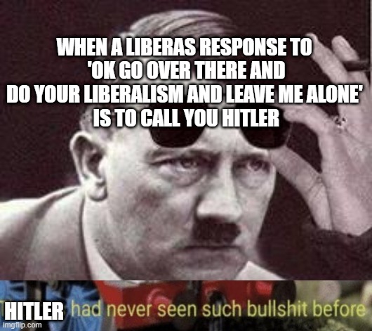 Grab yo' history books, Liberals | WHEN A LIBERAS RESPONSE TO 
'OK GO OVER THERE AND DO YOUR LIBERALISM AND LEAVE ME ALONE' 
IS TO CALL YOU HITLER; HITLER | image tagged in hitler sunglasses | made w/ Imgflip meme maker