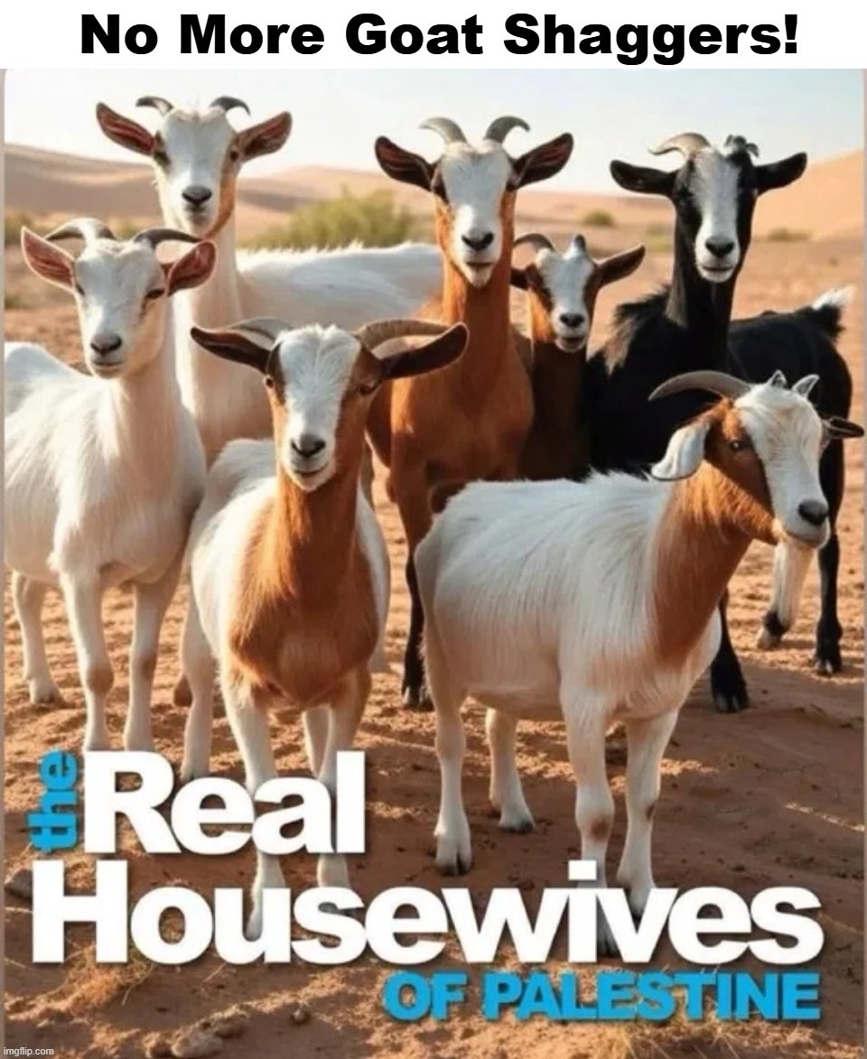 The REAL Housewives of Palestine | image tagged in real housewives,palestine,sinbad the scapegoat,bestiality,radical islam,animal sex | made w/ Imgflip meme maker