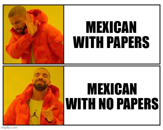 Latinas be like | MEXICAN WITH PAPERS; MEXICAN WITH NO PAPERS | image tagged in not that but this | made w/ Imgflip meme maker