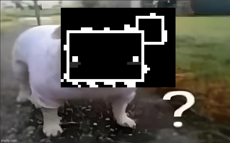 Huh Dog | image tagged in huh dog | made w/ Imgflip meme maker