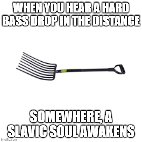 Ninthk | WHEN YOU HEAR A HARD BASS DROP IN THE DISTANCE; SOMEWHERE, A SLAVIC SOUL AWAKENS | image tagged in ninthk,slavic lives matter,black lives matter | made w/ Imgflip meme maker
