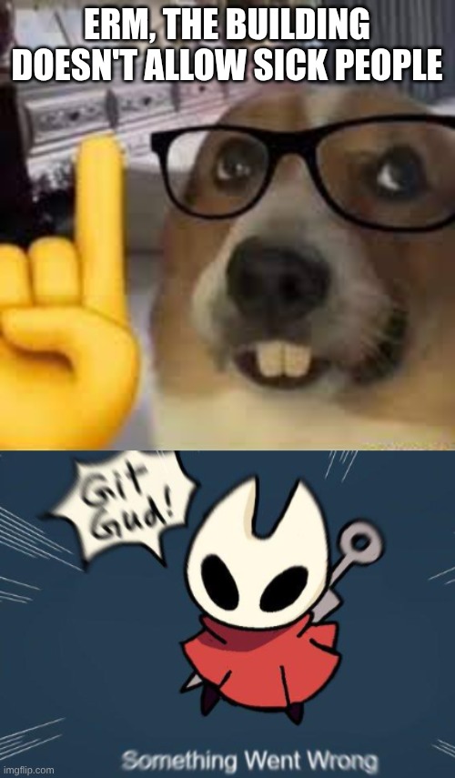 ERM, THE BUILDING DOESN'T ALLOW SICK PEOPLE | image tagged in nerd dog | made w/ Imgflip meme maker