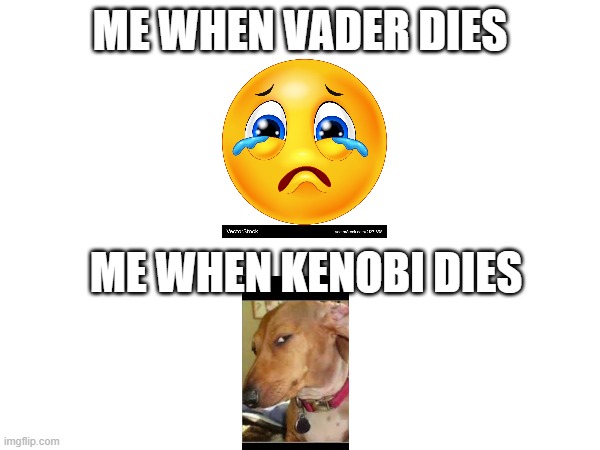 Bruh | ME WHEN VADER DIES; ME WHEN KENOBI DIES | image tagged in goofy memes | made w/ Imgflip meme maker