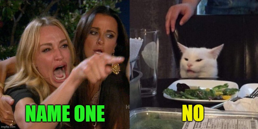 Woman yelling at cat | NAME ONE NO | image tagged in woman yelling at cat | made w/ Imgflip meme maker