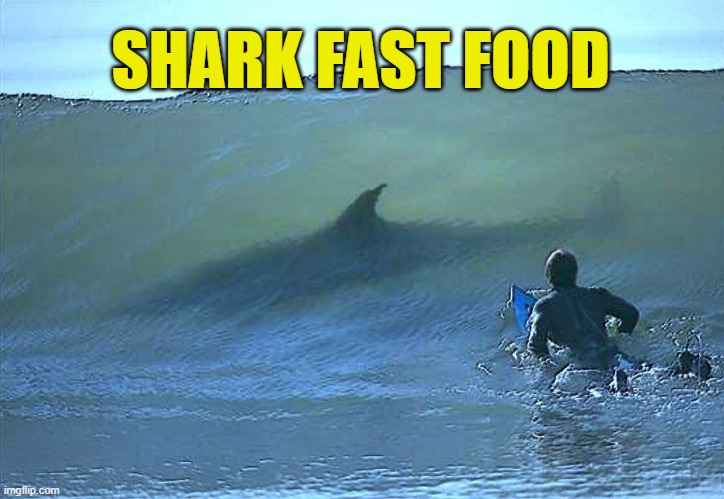 Shark surfer | SHARK FAST FOOD | image tagged in shark surfer | made w/ Imgflip meme maker