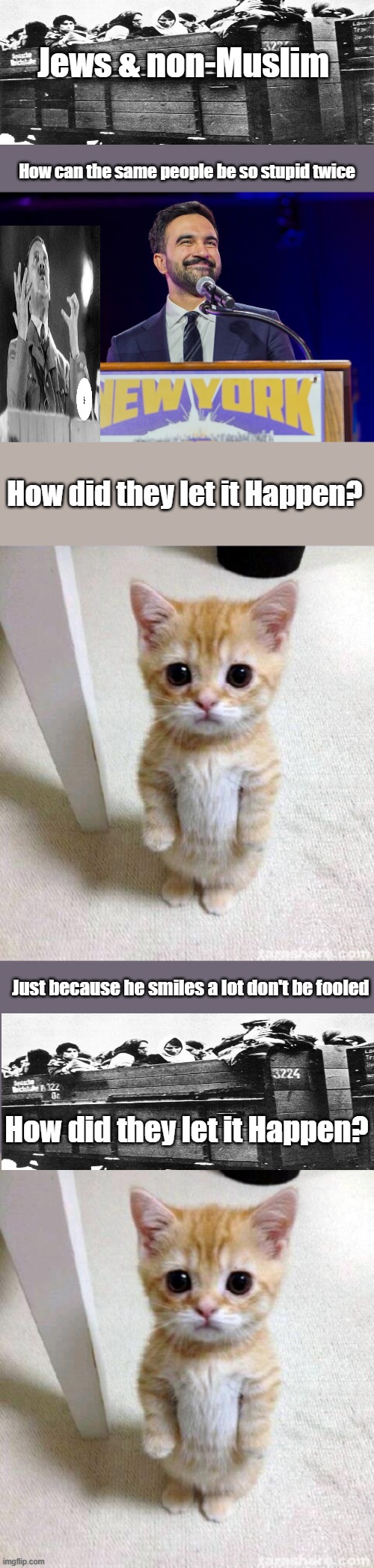 Jews & non-Muslim; How can the same people be so stupid twice; How did they let it Happen? Just because he smiles a lot don't be fooled; How did they let it Happen? | image tagged in memes,cute cat | made w/ Imgflip meme maker