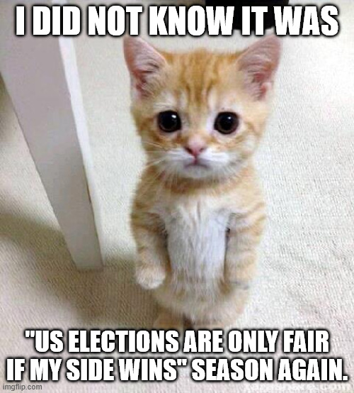 Cute Cat | I DID NOT KNOW IT WAS; "US ELECTIONS ARE ONLY FAIR IF MY SIDE WINS" SEASON AGAIN. | image tagged in memes,cute cat,election,politics,usa,new york city | made w/ Imgflip meme maker