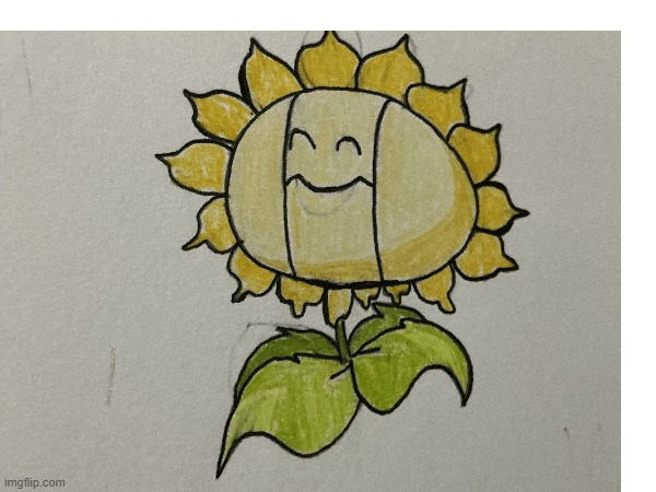 Sunflora (Pokemon) as Sunflower (PvZ) | image tagged in pokemon,plants vs zombies,oh wow are you actually reading these tags,art | made w/ Imgflip meme maker