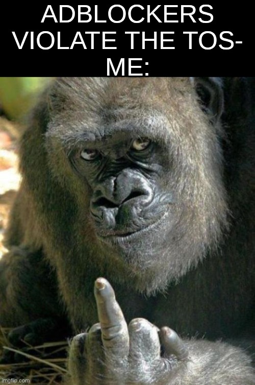 but I don't want to pay for premium...so... | ADBLOCKERS VIOLATE THE TOS-
ME: | image tagged in gorilla middle finger,youtube | made w/ Imgflip meme maker