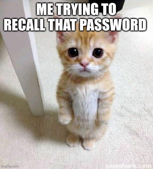 Cute Cat Meme | ME TRYING TO RECALL THAT PASSWORD | image tagged in memes,cute cat | made w/ Imgflip meme maker