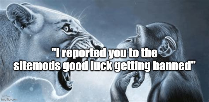 tiger yell at pondering monkey | "I reported you to the sitemods good luck getting banned" | image tagged in tiger yell at pondering monkey | made w/ Imgflip meme maker