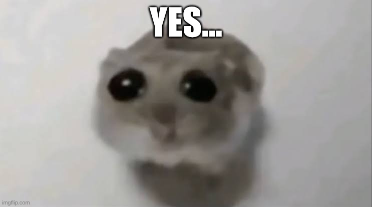 Sad Hamster | YES... | image tagged in sad hamster | made w/ Imgflip meme maker