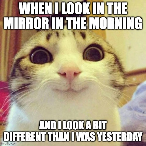 Smiling Cat | WHEN I LOOK IN THE MIRROR IN THE MORNING; AND I LOOK A BIT DIFFERENT THAN I WAS YESTERDAY | image tagged in memes,smiling cat | made w/ Imgflip meme maker