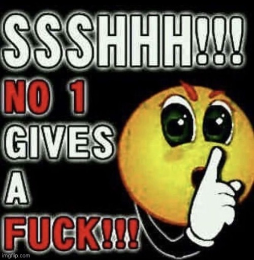 Shhhh no one gives a fuck!!! | image tagged in shhhh no one gives a fuck | made w/ Imgflip meme maker
