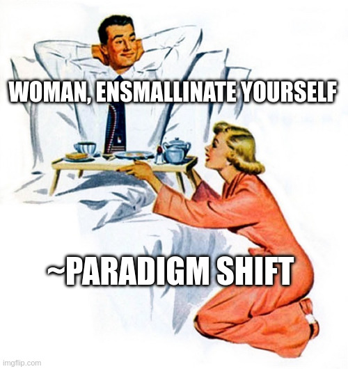 BREAKFAST IN BED | WOMAN, ENSMALLINATE YOURSELF; ~PARADIGM SHIFT | image tagged in breakfast in bed | made w/ Imgflip meme maker